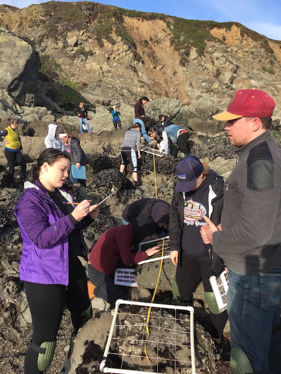 Students investigating the rocky intertidal ecosystem.