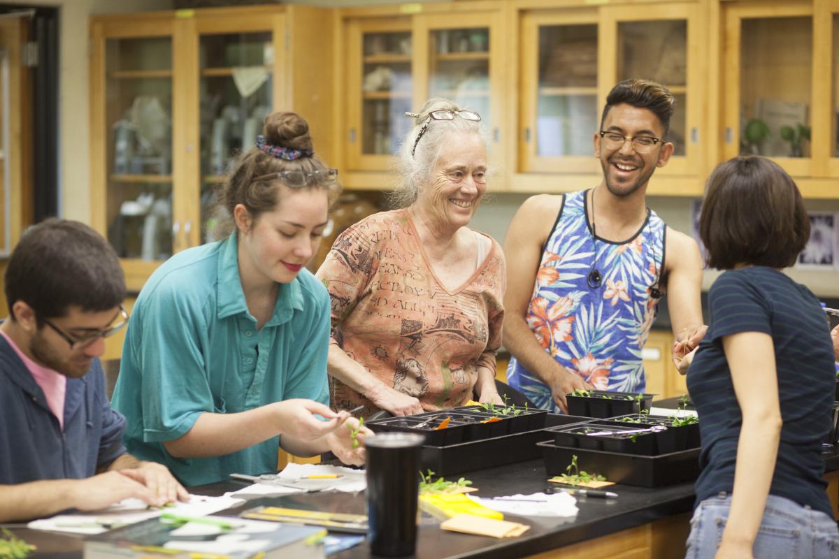 Students testing different methods of inducing water stress and determining impact on Arabidopsis Thaliana Knockout Mutants.