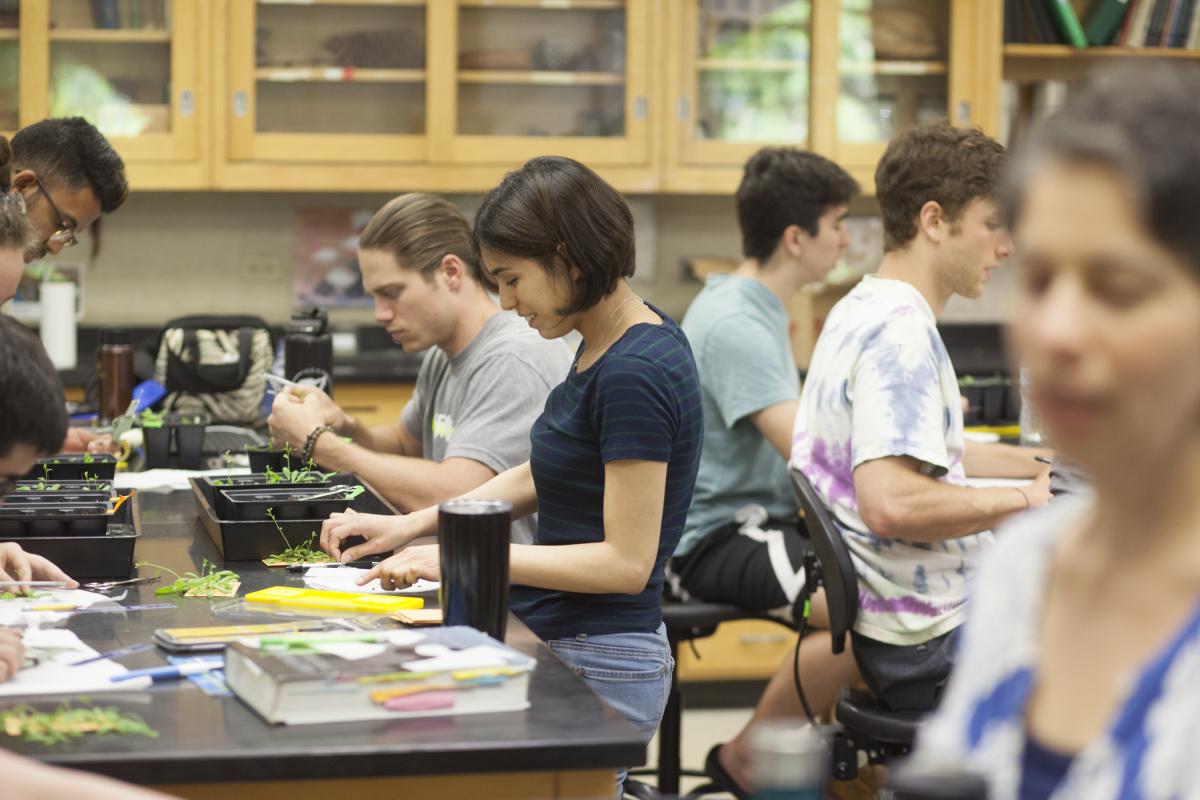 Students testing different methods of inducing water stress and determining impact on Arabidopsis Thaliana Knockout Mutants.