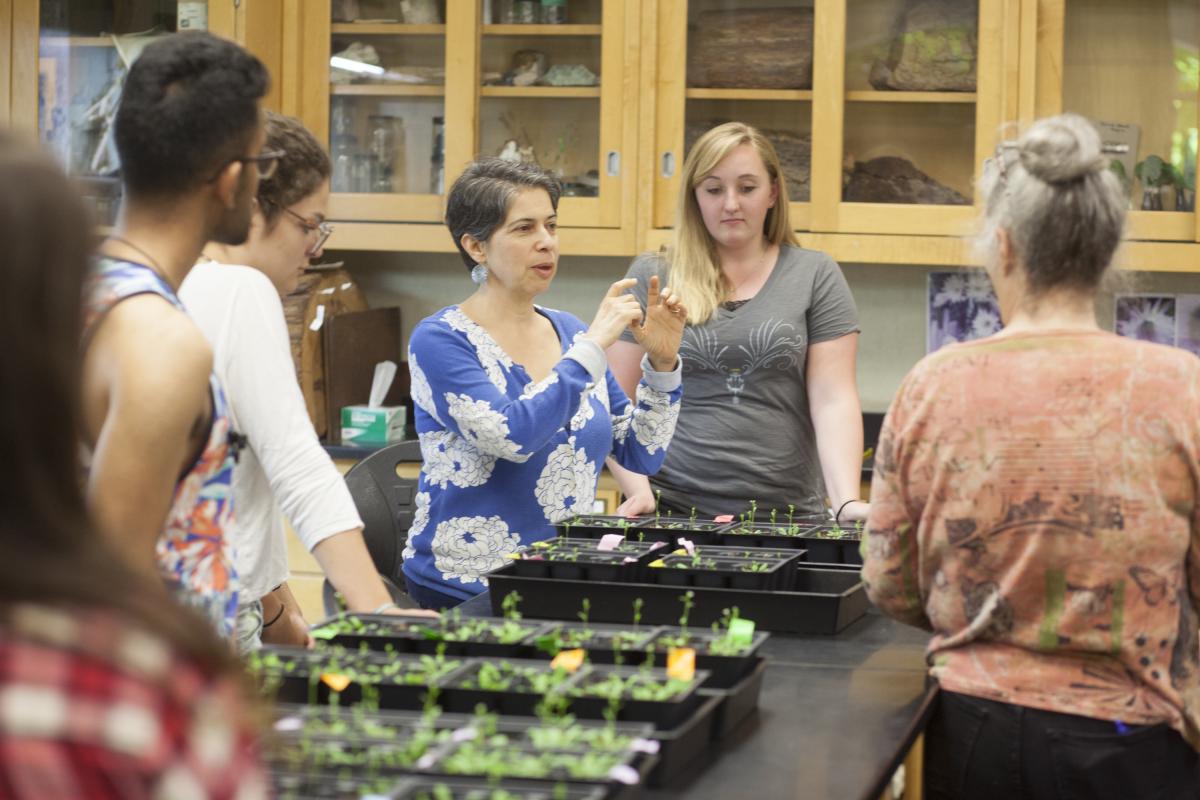 Students testing different methods of inducing water stress and determining impact on Arabidopsis Thaliana Knockout Mutants.