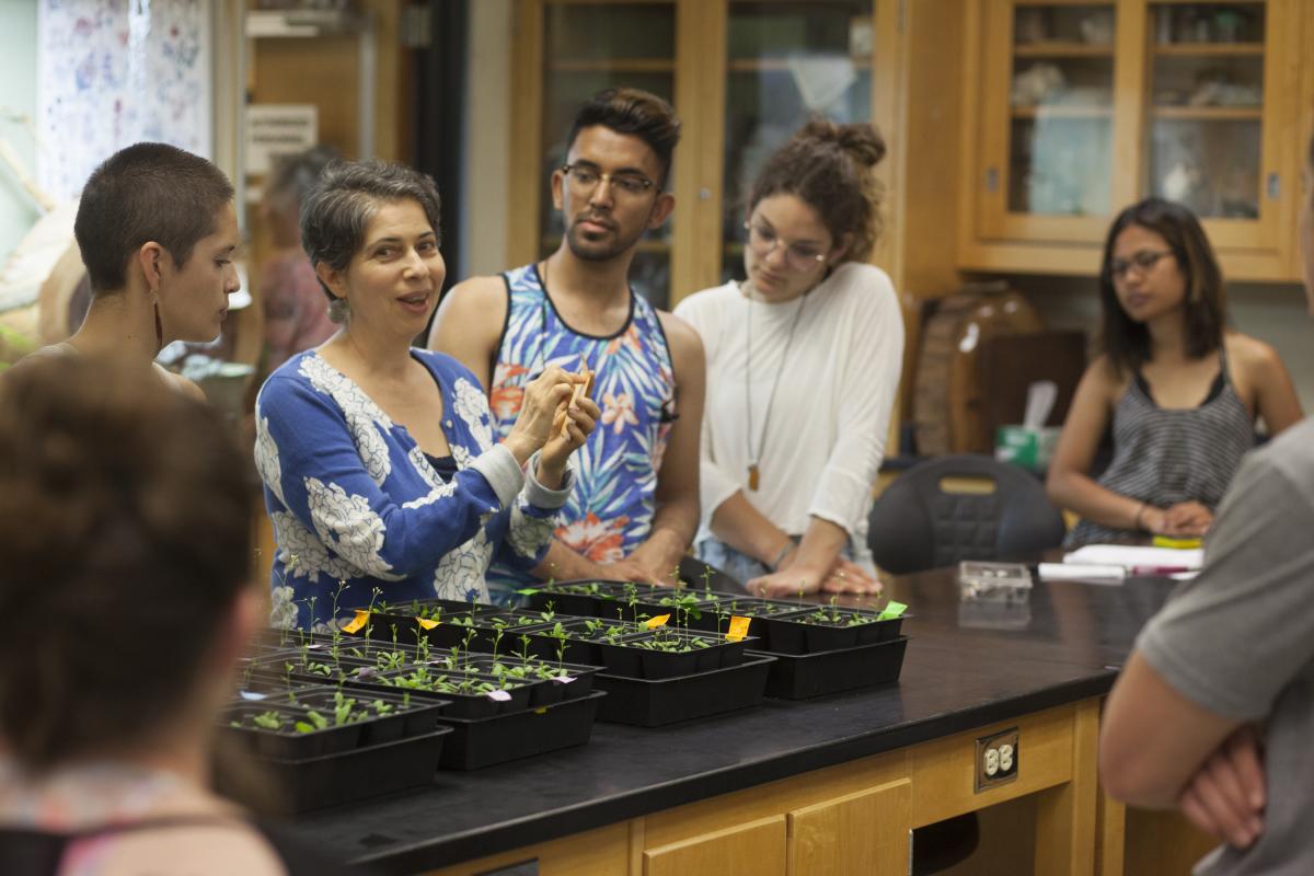 Students testing different methods of inducing water stress and determining impact on Arabidopsis Thaliana Knockout Mutants.