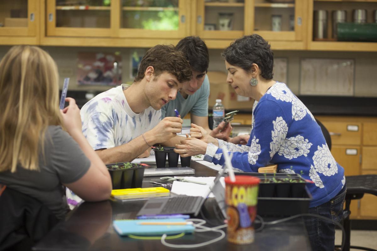 Students testing different methods of inducing water stress and determining impact on Arabidopsis Thaliana Knockout Mutants.